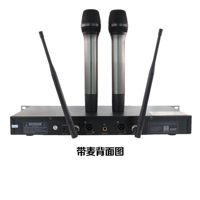 Lihui Audio 100X2 FM UHF High Frequency Full-digital Signal Transmission Detachable Battery Pack Wireless Microphone for Stage
