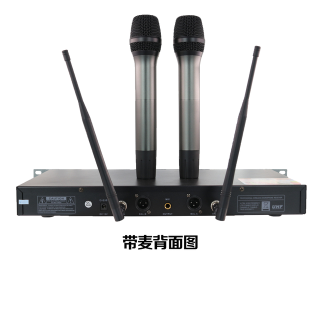 Lihui Audio 100X2 FM UHF Высокочастотный полностью цифровой сигнал со съемным аккумулятором Беспроводной микрофон для сцены