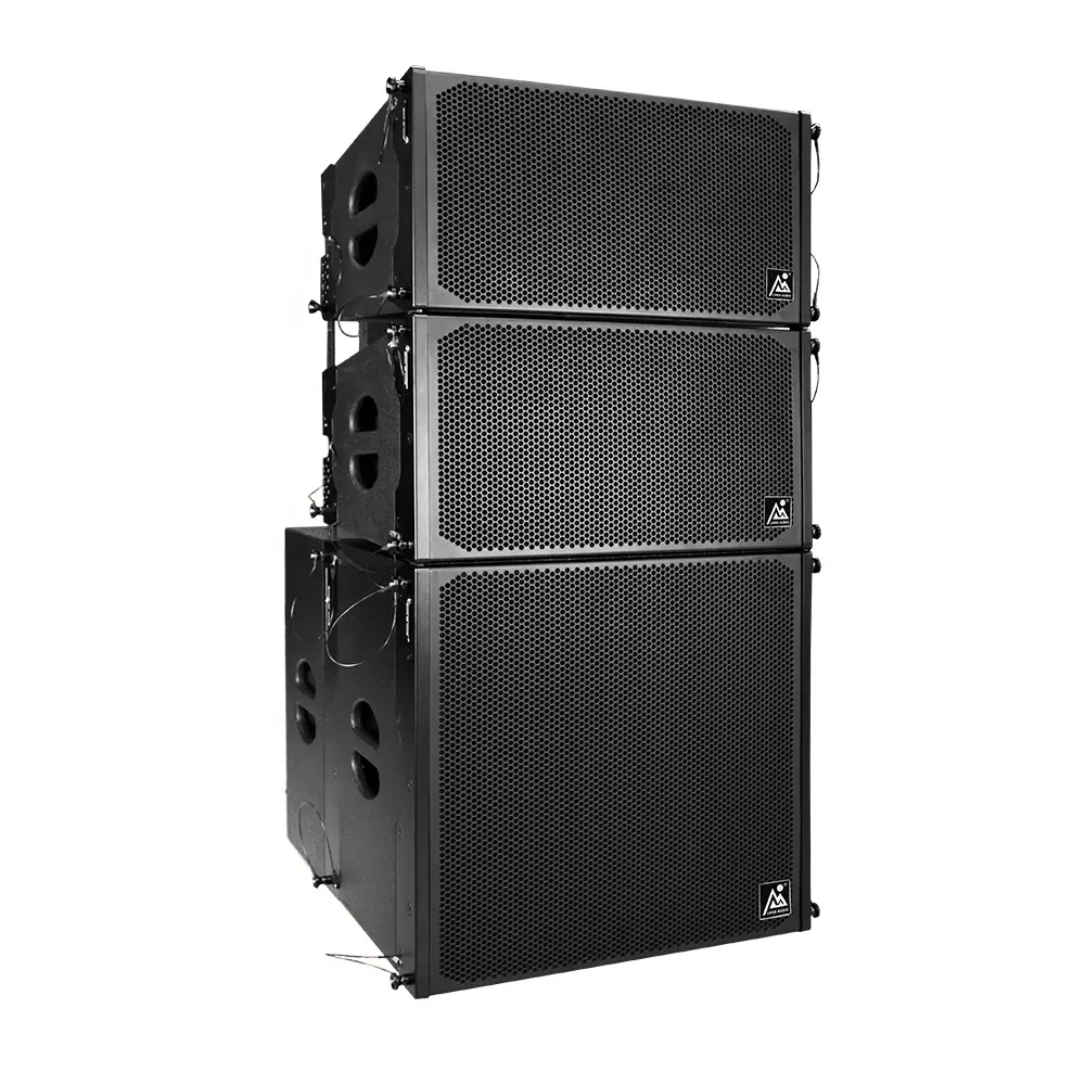 Single 10 Linear Array Speakers and 18 Subwoofer Active PA Speaker System for Church Outdoor Events