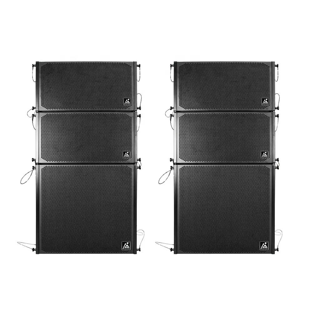 Single 10 Linear Array Speakers and 18 Subwoofer Active PA Speaker System for Church Outdoor Events