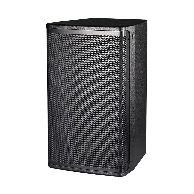 Stage remote speaker portable bar audio performance matrix audio Dual 12-inch loudspeaker